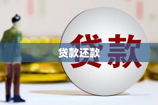 顺河贷款还款