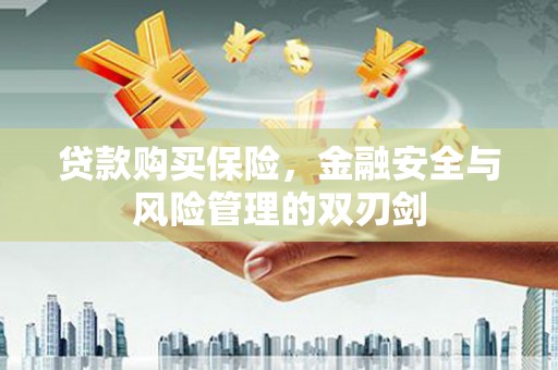 顺河贷款购买保险，金融安全与风险管理的双刃剑