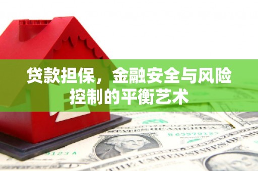 顺河贷款担保，金融安全与风险控制的平衡艺术
