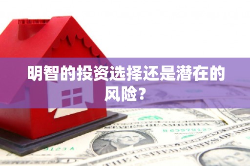 顺河明智的投资选择还是潜在的风险？