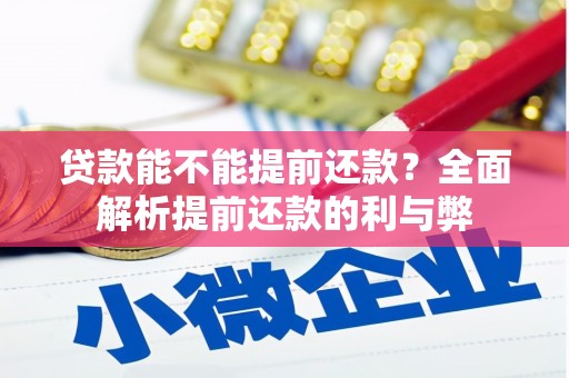 顺河贷款能不能提前还款？全面解析提前还款的利与弊