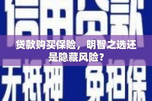 顺河贷款购买保险，明智之选还是隐藏风险？
