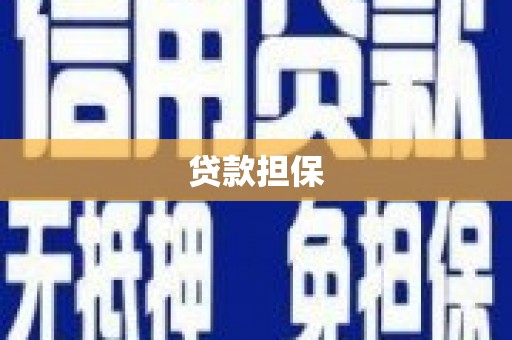 顺河贷款担保