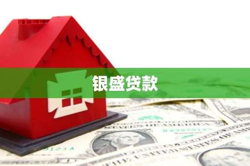 顺河银盛贷款