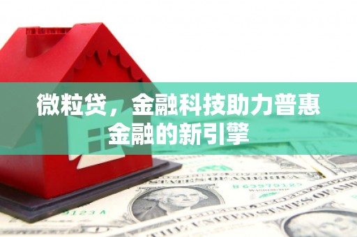 顺河微粒贷，金融科技助力普惠金融的新引擎