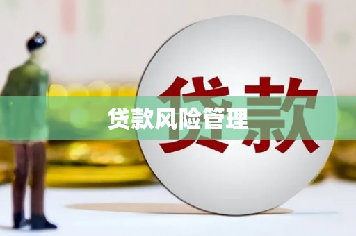 顺河贷款风险管理