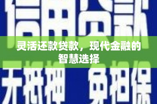 顺河灵活还款贷款，现代金融的智慧选择