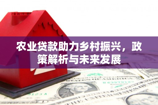 顺河农业贷款助力乡村振兴，政策解析与未来发展