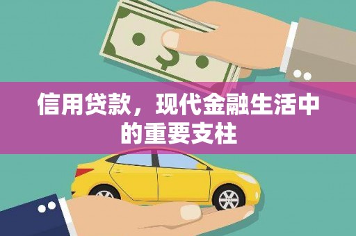 顺河信用贷款，现代金融生活中的重要支柱
