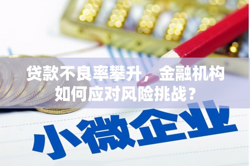 顺河贷款不良率攀升，金融机构如何应对风险挑战？