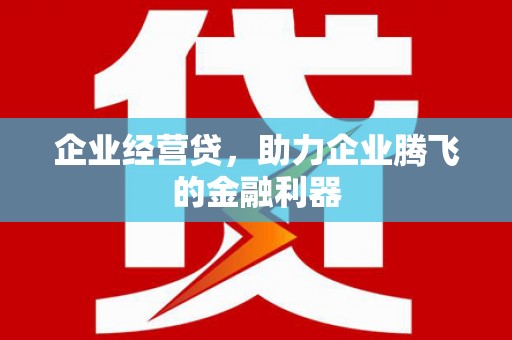 顺河企业经营贷，助力企业腾飞的金融利器
