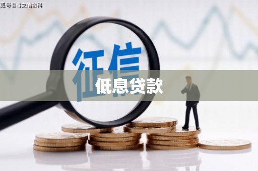 顺河低息贷款