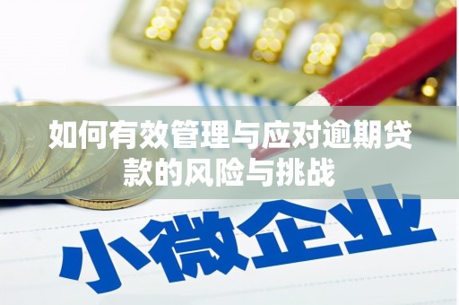顺河如何有效管理与应对逾期贷款的风险与挑战
