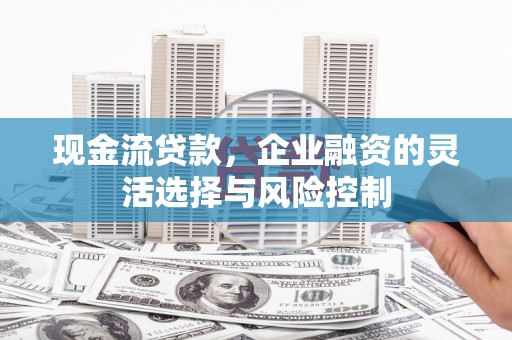 顺河现金流贷款，企业融资的灵活选择与风险控制