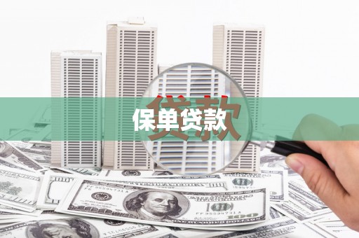 顺河保单贷款