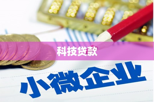 顺河科技贷款
