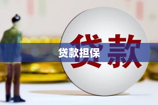 顺河贷款担保