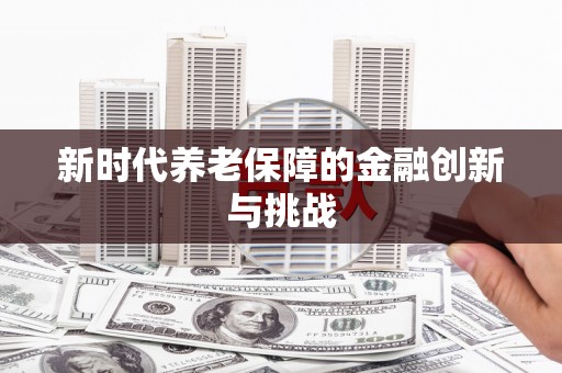 顺河新时代养老保障的金融创新与挑战