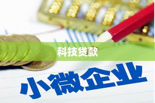 顺河科技贷款