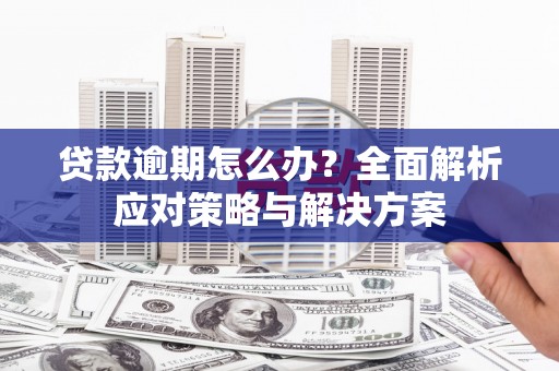 顺河贷款逾期怎么办？全面解析应对策略与解决方案