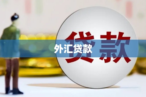 顺河外汇贷款