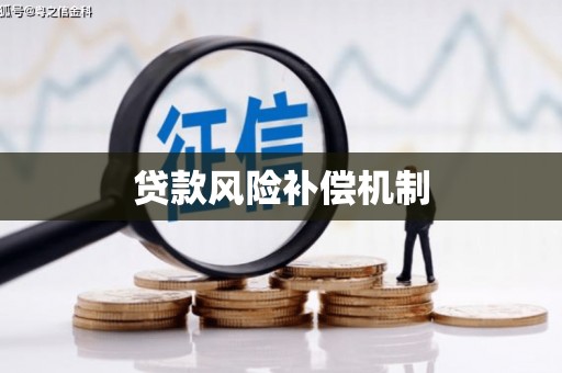 顺河贷款风险补偿机制