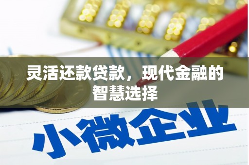 顺河灵活还款贷款，现代金融的智慧选择