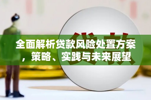顺河全面解析贷款风险处置方案，策略、实践与未来展望