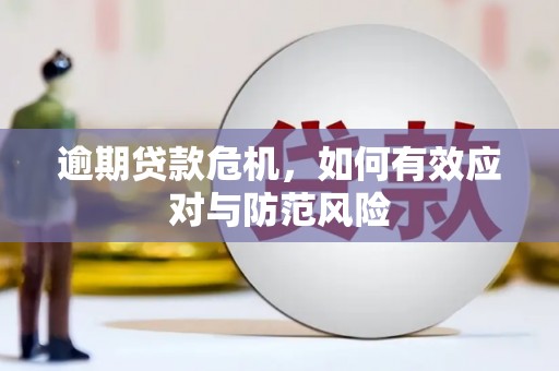 顺河逾期贷款危机，如何有效应对与防范风险
