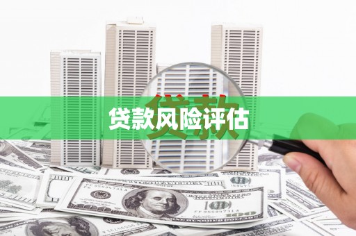 顺河贷款风险评估