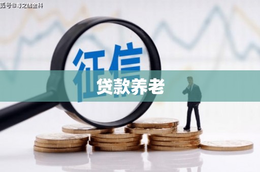 顺河贷款养老
