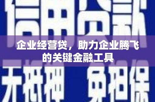 顺河企业经营贷，助力企业腾飞的关键金融工具