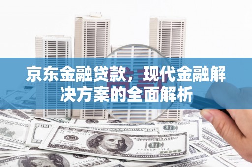 顺河京东金融贷款，现代金融解决方案的全面解析