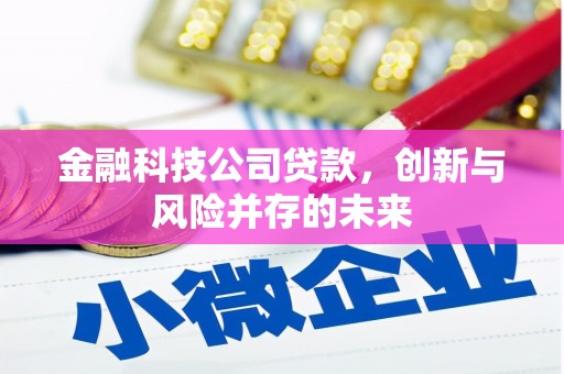 顺河金融科技公司贷款，创新与风险并存的未来