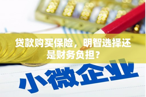 顺河贷款购买保险，明智选择还是财务负担？
