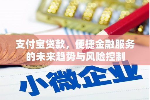 顺河支付宝贷款，便捷金融服务的未来趋势与风险控制