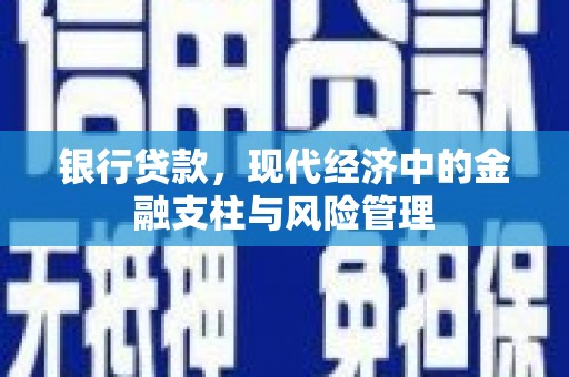 顺河银行贷款，现代经济中的金融支柱与风险管理