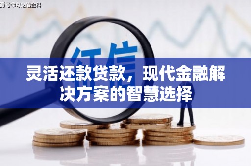 顺河灵活还款贷款，现代金融解决方案的智慧选择