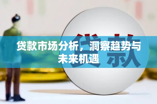 顺河贷款市场分析，洞察趋势与未来机遇