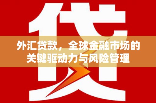 顺河外汇贷款，全球金融市场的关键驱动力与风险管理