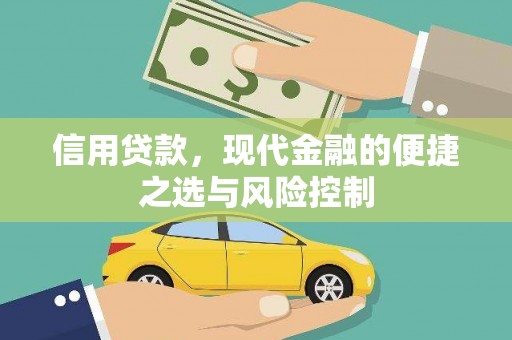 顺河信用贷款，现代金融的便捷之选与风险控制
