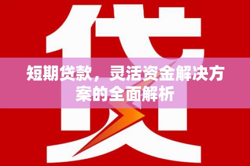 顺河短期贷款，灵活资金解决方案的全面解析