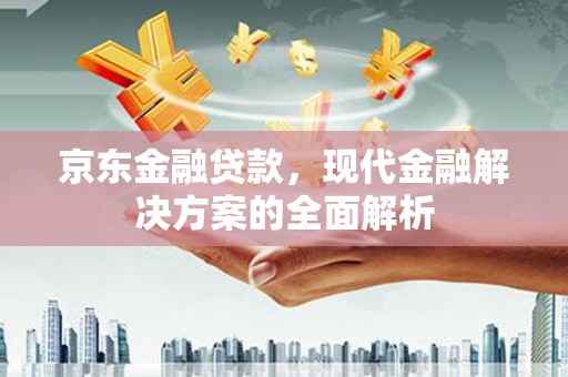 顺河京东金融贷款，现代金融解决方案的全面解析
