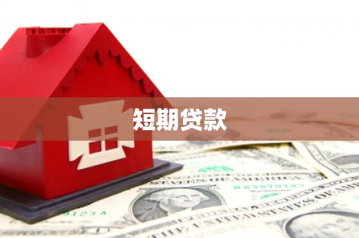 顺河短期贷款