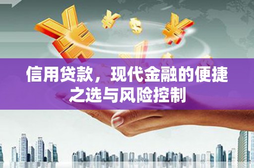 顺河信用贷款，现代金融的便捷之选与风险控制