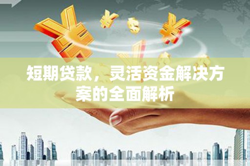 顺河短期贷款，灵活资金解决方案的全面解析