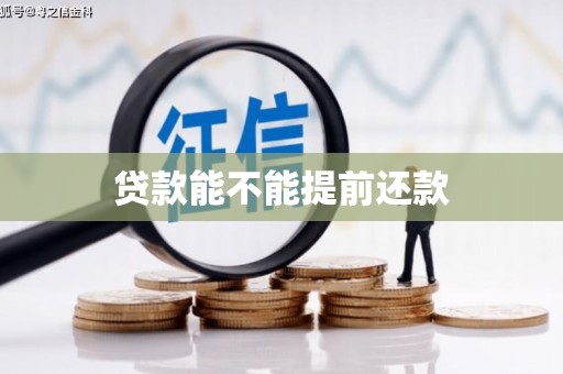 顺河贷款能不能提前还款