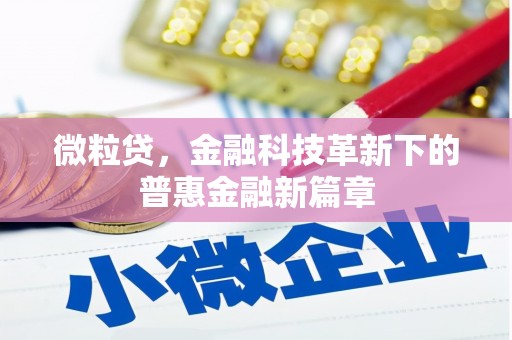 顺河微粒贷，金融科技革新下的普惠金融新篇章