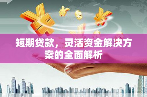 顺河短期贷款，灵活资金解决方案的全面解析