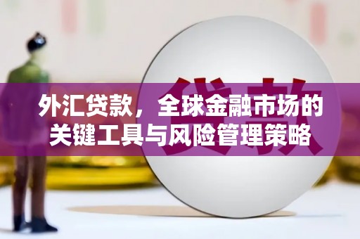 顺河外汇贷款，全球金融市场的关键工具与风险管理策略